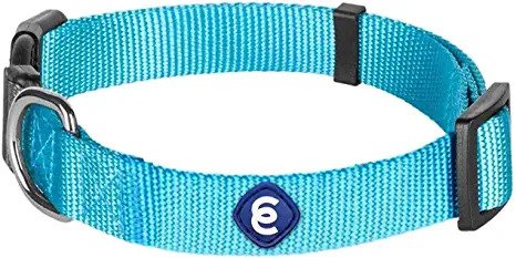 The Blueberry Pet Classic Best dog collars for large dogs under $25