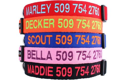 GoTags Personalized Dog Collar