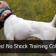 best no shock training collar for dogs