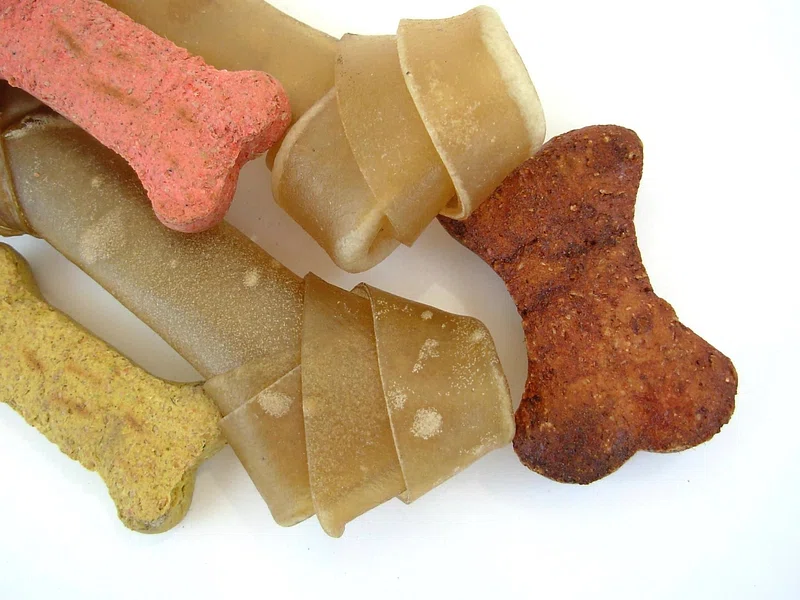 The Healthiest Dog Treat Brands